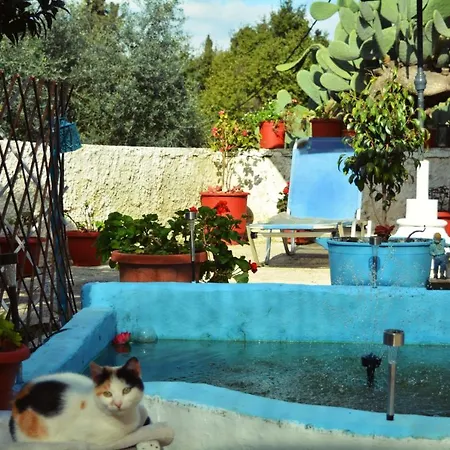 Holiday home Moumouri's House Gastouri (Corfu)